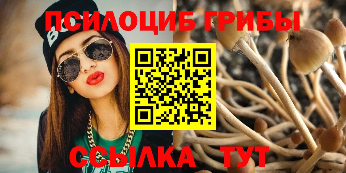 Галлюциногенные грибы ЛСД  Вход с VPN  Лениногорск  Псилоцибиновые грибы Psilocybe 
